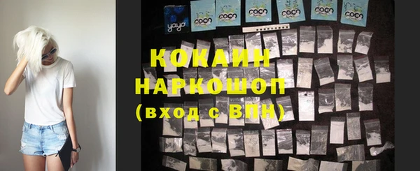 стафф Кодинск