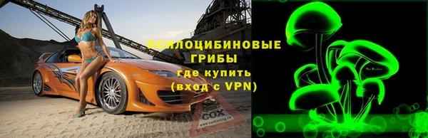 apvp Козловка