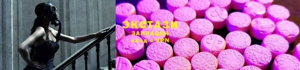 стафф Кодинск