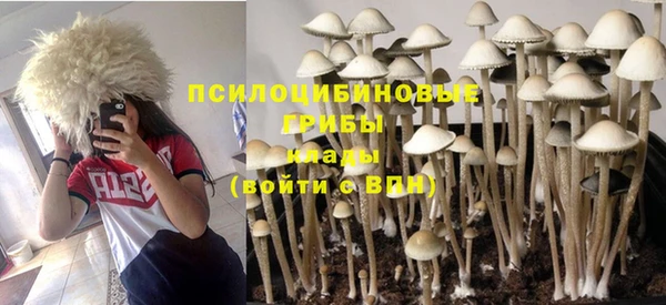 стафф Кодинск