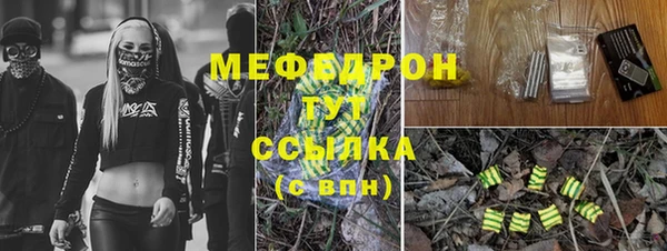 гидра Коряжма