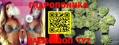 ECSTASY Кунгур