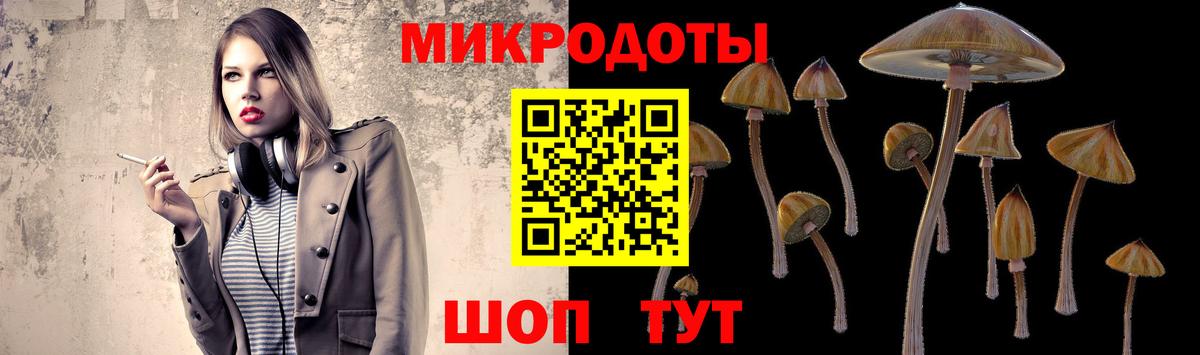 Псилоцибиновые грибы Cubensis Красный Сулин